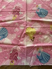 Disney Princesses 18″ x 17″ Cotton Fabric Sewing Crafting One Piece