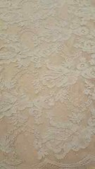 “White Bridal Lace Fabric with Embroidered Flowers and Polka Dots – Sold by the