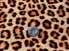 Fabric Wild Animal Kingdom Leopard Skin on Cotton KAUFMAN Cotton 1/4 yard 74-286