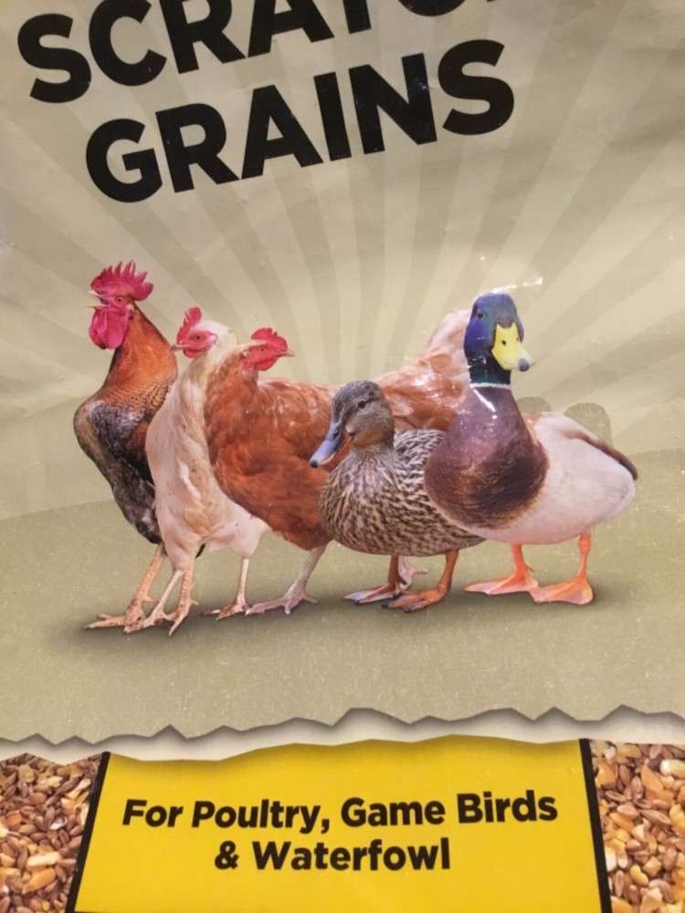 Assorted 50 Pound Feed Bags Chickens Cows Goats Set of Four Empty