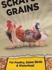 Assorted 50 Pound Feed Bags Chickens Cows Goats Set of Four Empty
