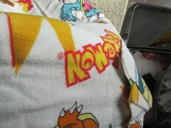 anime pokemon charizard twin bed sheet fun fabric flannel flat gently used