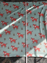 Fabric Minky Tokala Fox Aqua T60x33 Little Fox Winter Foxy Cotton Fabric