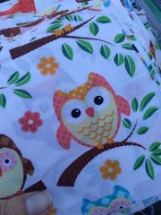 Quilting Fabric Squares 4 x 4 Lot Owl Solid Pattern Grey Purple White Red