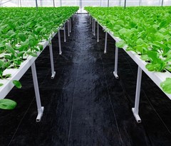 Durable Weed Block Mat Pro Garden 5oz 3ft x 100ft Eco-Friendly