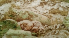 Fabric Red Rooster “Rocky Terrain” Mixture of Light Green Brown Tan White $3.25