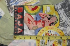 Pin Up Girls Fabric Baja Aloha Palm Beach Bikini Sheer Polyester 3 Yards Remnant