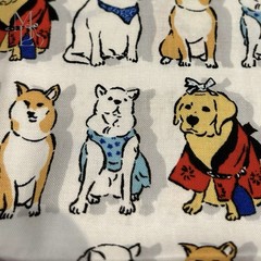 Sevenberry Dog Fabric Set of 3 Japanese Cotton Astronaut Surfing Festival 50cm