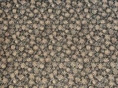 By 1/2 Yd Vintage Rose & Hubble “Flower Fairies 2” 1998 Green Tan Brown Fabric