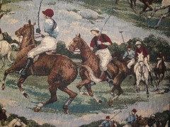 Polo Match Turf