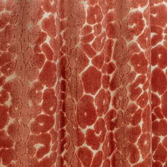 RM Coco Animal Skin Leopard Cut Velvet Uphol Fabric- Roar / Flamingo 5.75 yds