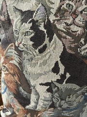 Cat Tapestry Throw Pillow Siamese Persian Tabby Black Ginger Cats Rope Edge 16”