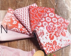 Annie’s Creative Quilters Fabric Club Riley Blake Apron Country Red White Floral