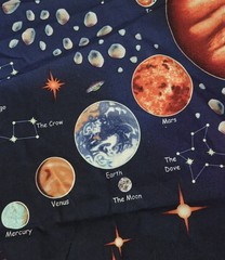 SPACE Cotton Fabric Panel Wall Hanging Quilt Avlyn Planets Solar System Science