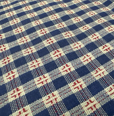Blue White Red Check Plaid Rustic Cotton Fabric BTHalfY #66