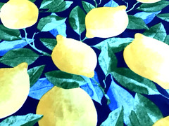 Richloom Solarium Outdoor Fabric Lemons Citrus In Sapphire 4.5 Yard Lot
