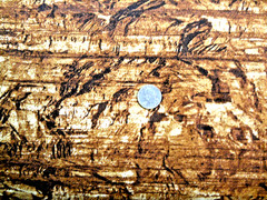 NORTHCOTT #ST16080 “STONEHENGE WOOD GRAIN” BTY