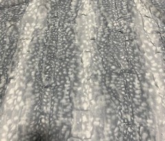 Fawn Silver Gray – Cuddle Minky Faux Deer Fur Fabric