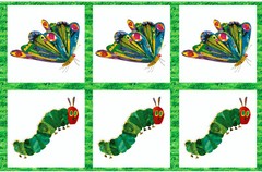 ANDOVER “THE VERY HUNGRY CATERPILLAR” METAMORPHOSIS A-5280-M by the panel