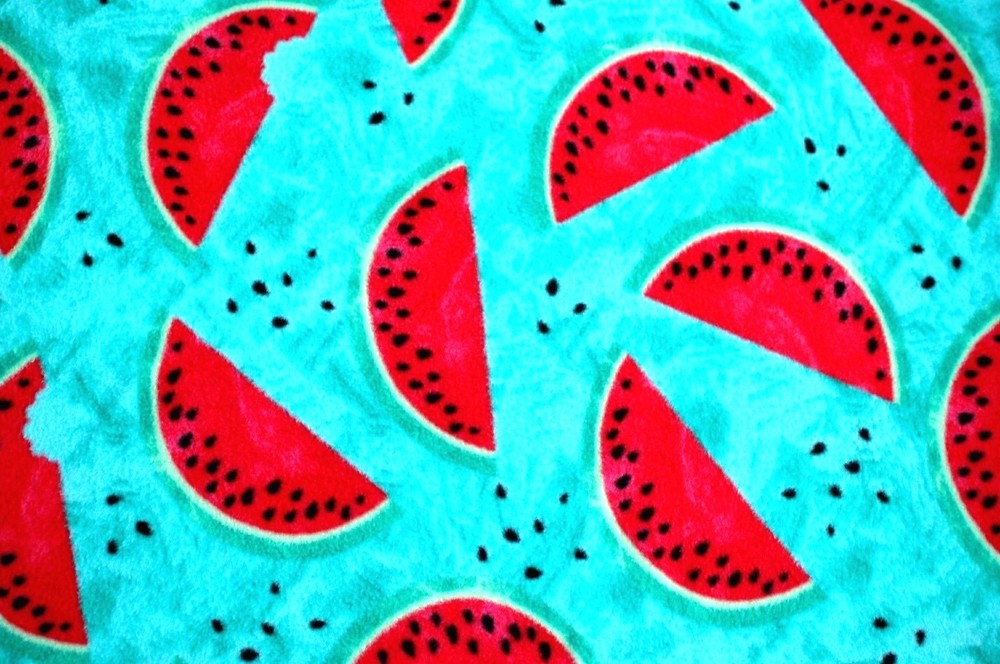 BTY*HOLIDAY RED WATERMELON BLACK SEEDS TURQUOISE PLUSH FLEECE FABRIC 60×36″ 1YD