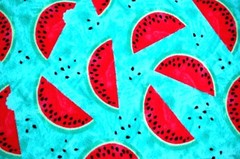 BTY*HOLIDAY RED WATERMELON BLACK SEEDS TURQUOISE PLUSH FLEECE FABRIC 60×36″ 1YD