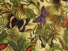 Butterfly Natural Butterflies Ferns Cotton Fabric FQ