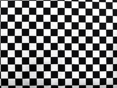 AMORNPHAN 1″ Squares Checkered Gingham Black and White Pattern 45” Wide Polycot