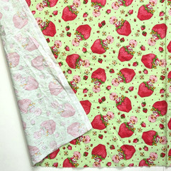 VTG Strawberry Shortcake Those Characters From Cleveland 2003 Flannel Green BTY