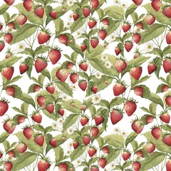 LUMIN – White Owl Textiles – Patchwork Picnic by Susan Winget – Strawberries –