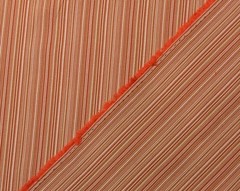OUTDURA DEBUT GINGER ORANGE OUTDOOR INDOOR MULTI USE FABRIC BY YARD 54″W