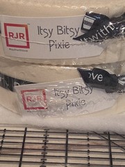 RJR PIXIE STRIPS Itsy Bitsy 40 PCS/ x 1.5″ X 2 Quilting Fabric French Vanilla