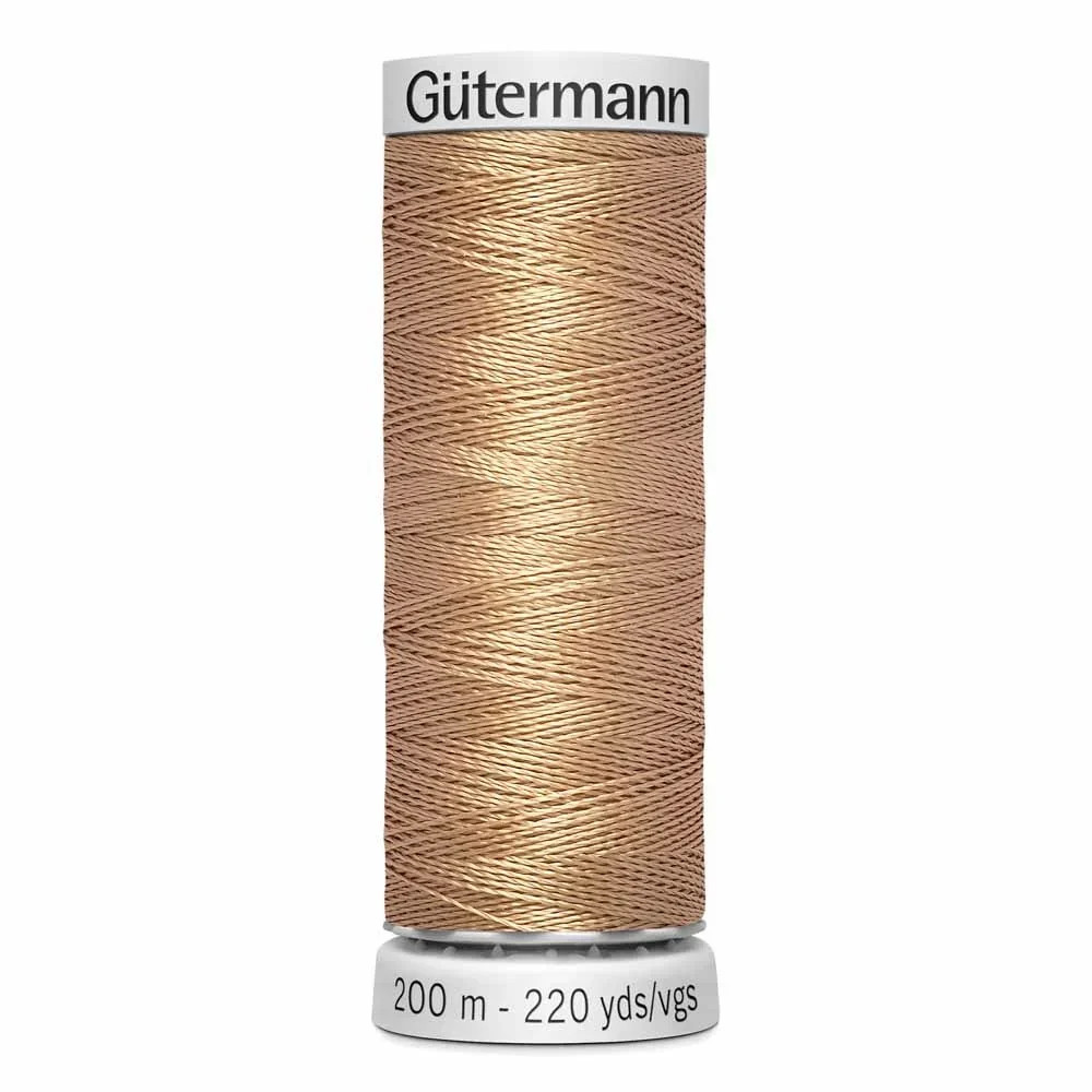 Gütermann Dekor Rayon thread 2610