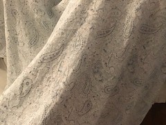 Rachel Ashwell Shabby Chic Couture Paisley Blue White Teal White LINEN By Yard