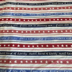36” Of Cotton Land Of Free (640)