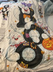 Ghost Quilt Fabric Daisy Kingdom “BOO! Door Panel” Halloween 35″x44″ Decoration