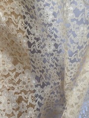 Champagne Sheer Mesh Floral Pattern Raschel Lace 58/60” Polyester Fabric By Yard
