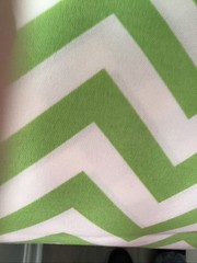 OUTDOOR Fabric Chevron Bright Green White Zig Zag by Premier 2 .25 Yard Piece