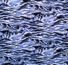 New Hoffman International Fabrics 19″ x 27″ Cotton Nature’s Elements Blue Waves