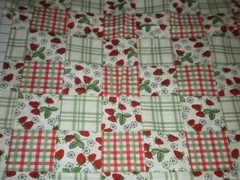 Strawberries Flowers Checkered Blocks Lauren Lee Jo-Ann Fabrics 1.44 yards