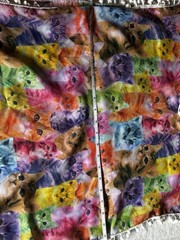 Multicolor Cat Theme Animal Print Fabric Panel with White Trim. Childs size M.