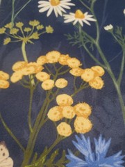 Lunarable Green Night Wildflower Velvet Fabric Panel 113×62 Large Botanical