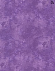 Solid-ish Tone on Tone cotton quilt fabric BTY Timeless Treasure IRIS purple