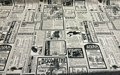 Newspaper Sepia Sordi Cotton Multipurpose Fabric by the yard