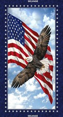 Patriotic Fabric 23″X44″ Panel USA Eagle Flag Cotton Timeless Treasures C7448