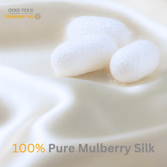 Champagne 100% Pure Mulberry Silk Fabric by the Yard