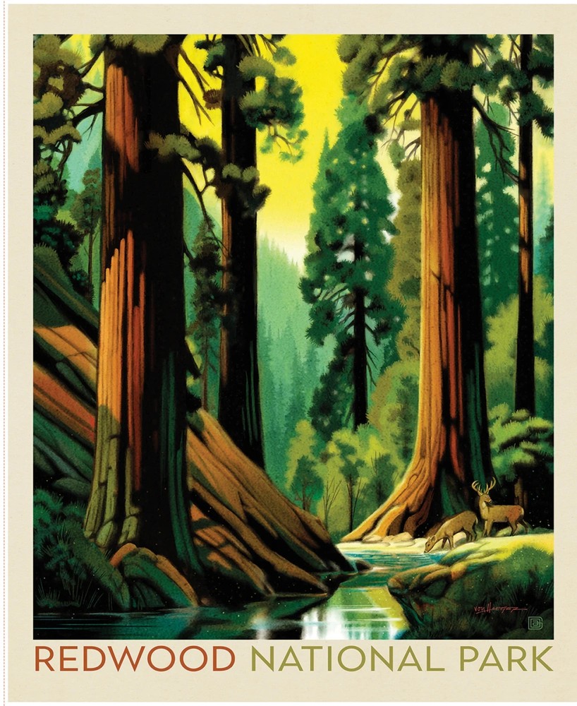 Redwood Poster Panel National Parks 35 1/2in x 43 1/2in