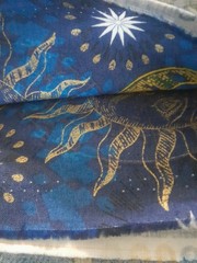 Quilting Cotton Celestial By Whistler Studios Windham Fabrics 2 Pieces 7 Yards