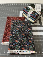 Hidden Canyon Robert Kaufman Fat Quarter Bundle + 2 Yards Of Black & Cardinal
