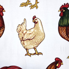 Roosters Hens On White Timeless Treasures DAN-C2914 Cotton Fabric BTY NOS Rustic