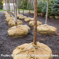 Burlap Fabric – Garden Burlap Fabric Roll Natural Jute Outdoor Fabric Burlap Wee